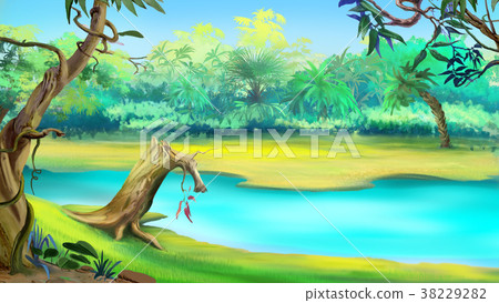 River in the Tropical Jungle in a sunny day River in the Tropical Jungle in a sunny day 38229282