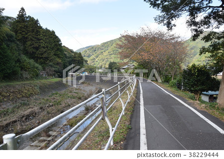 Tokaido 38229444