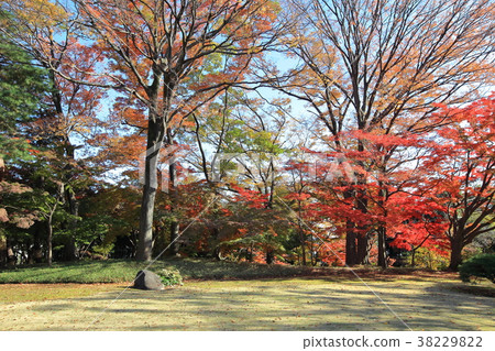Togagaya Garden Kokubunji 38229822