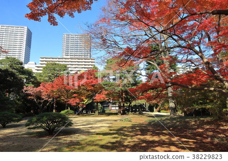 Togagaya Garden Kokubunji 38229823