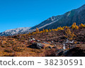Autumn scenery in Yading Nature Reserve 38230591