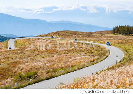 Autumn Venus Line 38233523