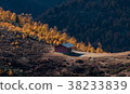 Mountain scenery near Yubeng,Yunnan ,China 38233839