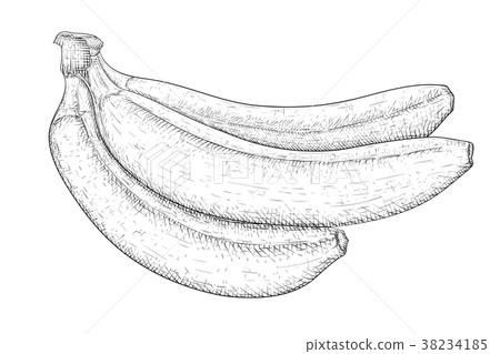 Banana. Hand drawn black and white sketch Banana. Hand drawn black and white sketch 38234185