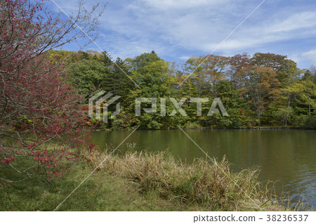 輕井澤塔拉森 38236537