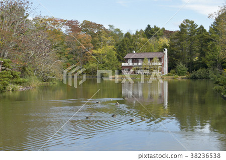 輕井澤塔拉森 38236538