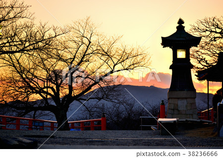 中山-DERA 38236666