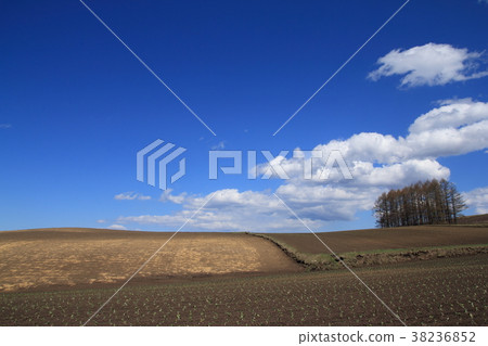 Tsukii在初冬 Tsukii在初冬 38236852