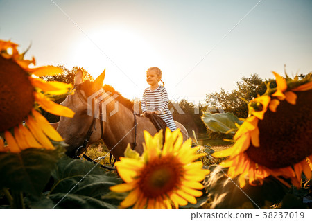 Little girl riding a horse 38237019