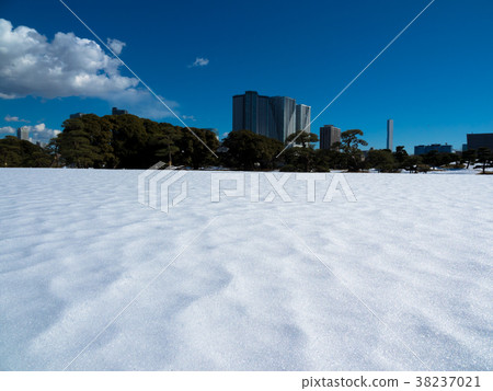 第二天早上在東京大雪後 第二天早上在東京大雪後 38237021