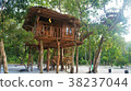 Treehouse	 38237044