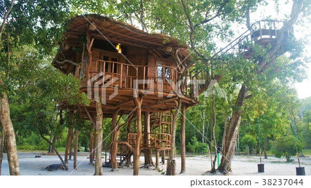 Treehouse	 38237044