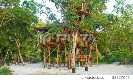 Tree house 2 38237045