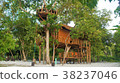 Tree house 3 38237046