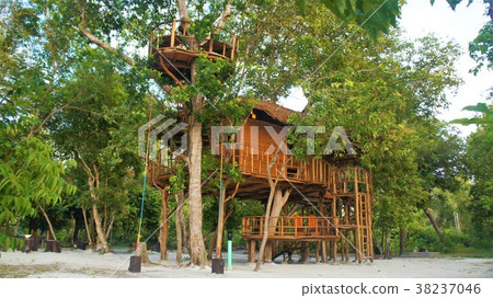 Tree house 3 38237046