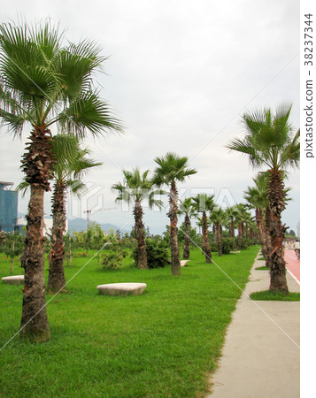 City view with nice modern high buildings 38237344