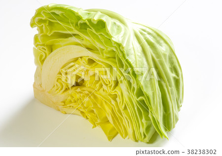 賣白菜 賣白菜 38238302