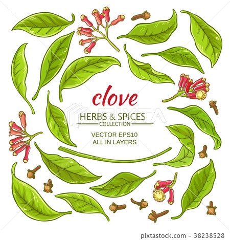 clove elements set 38238528