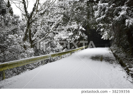 Snow cover Snow cover 38239356