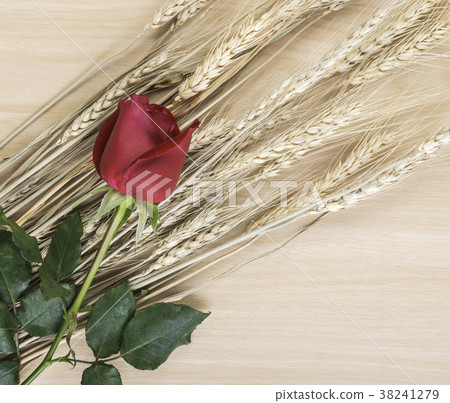 Red rose isolated and wheat on a wooden floor Red rose isolated and wheat on a wooden floor 38241279