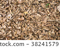 close up dry leaf background 38241579