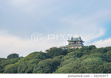 Komaki Yamajo 38242977