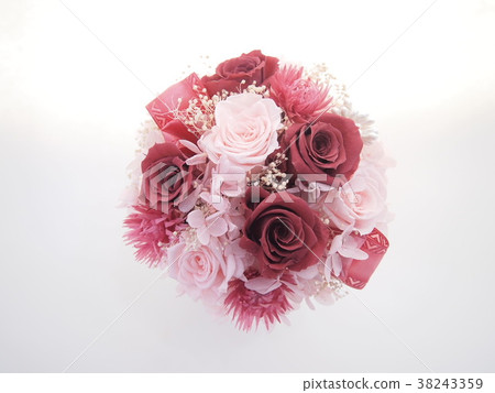 Preserved flower arrangement 38243359