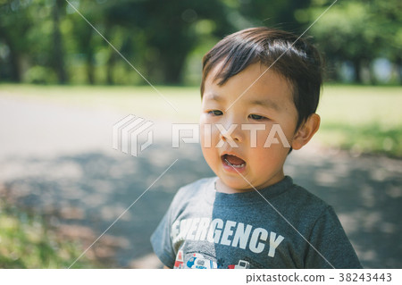 酷熱 夏天 夏 38243443