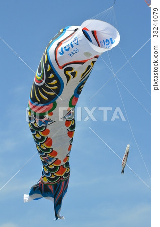 Jumbo Koinobori (Tonegawa Riverside Green Park / Saitama Kazo City) 38244079