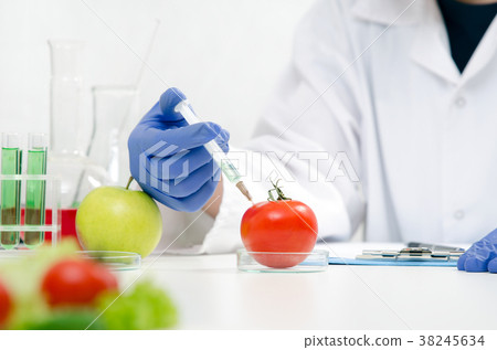 Scientist is working on genetically modified food. Scientist is working on genetically modified food. 38245634
