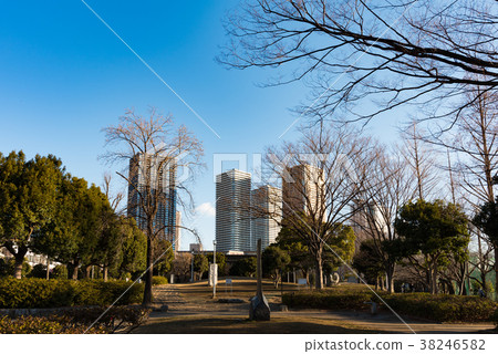 Musashi Kosugi摩天大樓縣 Musashi Kosugi摩天大樓縣 38246582