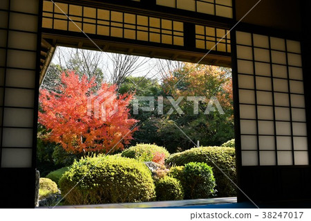 秋天的城市景觀詩Izumikaku 38247017