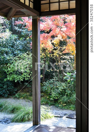 Autumn's Townscape Poetry Izumikaku 38247038