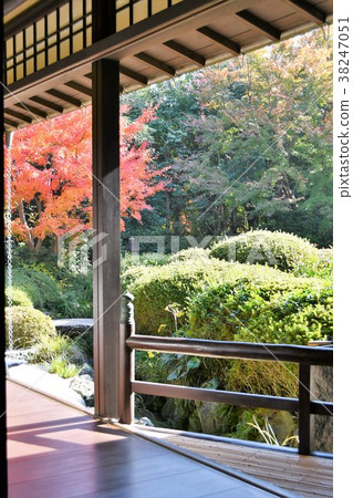 Autumn's Townscape Poetry Izumikaku 38247051