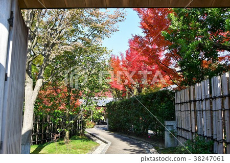 Autumn's Townscape Poetry Izumikaku Autumn's Townscape Poetry Izumikaku 38247061