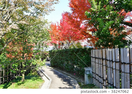Autumn's Townscape Poetry Izumikaku Autumn's Townscape Poetry Izumikaku 38247062