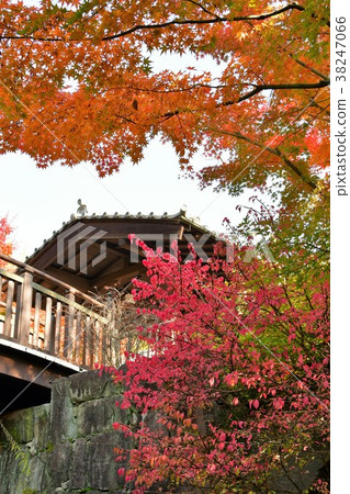 秋天的城市景觀詩Izumikaku 秋天的城市景觀詩Izumikaku 38247066