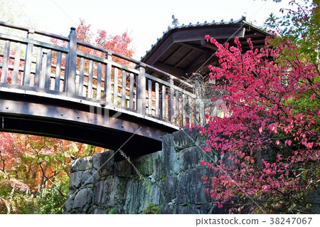 秋天的城市景觀詩Izumikaku 秋天的城市景觀詩Izumikaku 38247067