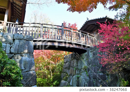 Autumn's Townscape Poetry Izumikaku Autumn's Townscape Poetry Izumikaku 38247068