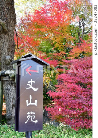 Autumn's Townscape Poetry Izumikaku Autumn's Townscape Poetry Izumikaku 38247082