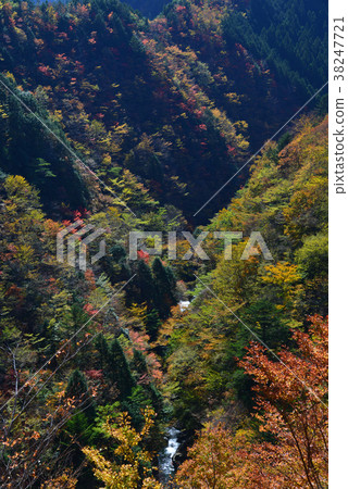 谷和秋葉（德島縣長久縣）（來自Kenzan Super Forest Road） 38247721