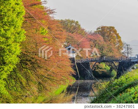 Landscape of water moat of Yamagata castle ruins of spring morning 38247801