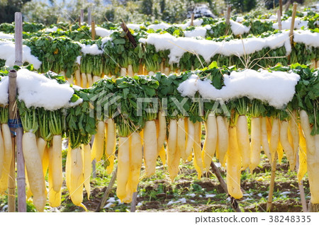 Dried radish Dried radish 38248335