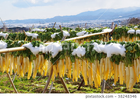 Dried radish 38248346