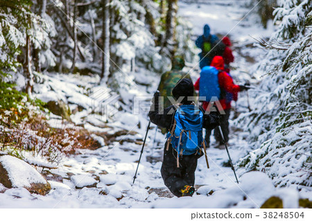Mountain hiking Mountain hiking 38248504