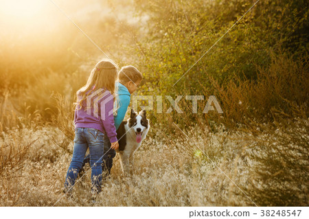 Family. Brother, sister and dog. Family. Brother, sister and dog. 38248547