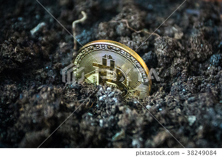 Symbolic golden coin of bitcoin growing in soil 38249084