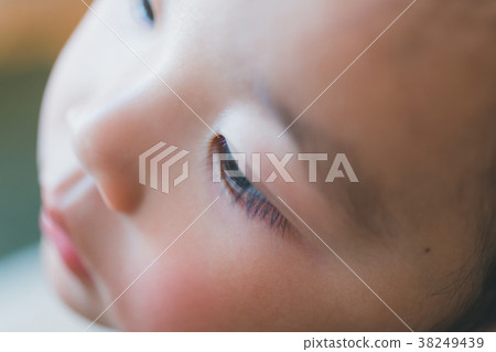 睫毛 眼睛 目光 38249439
