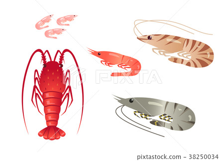 Shrimp 38250034