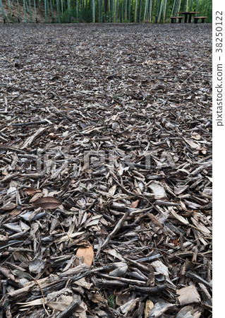 Wood chip Wood chip 38250122